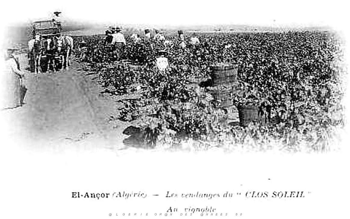 CO jc- 016- El ancor- Andalouses .jpg